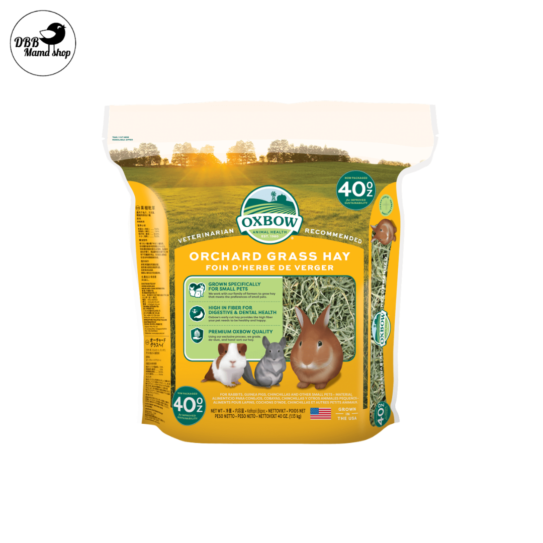 [40oz] Oxbow Hay | Timothy / Orchard / Alfalfa | High Fiber Daily Hay for Rabbits, Guinea Pigs & Chinchillas