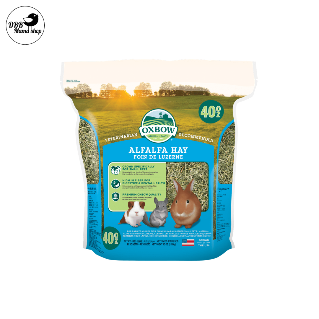 [40oz] Oxbow Hay | Timothy / Orchard / Alfalfa | High Fiber Daily Hay for Rabbits, Guinea Pigs & Chinchillas