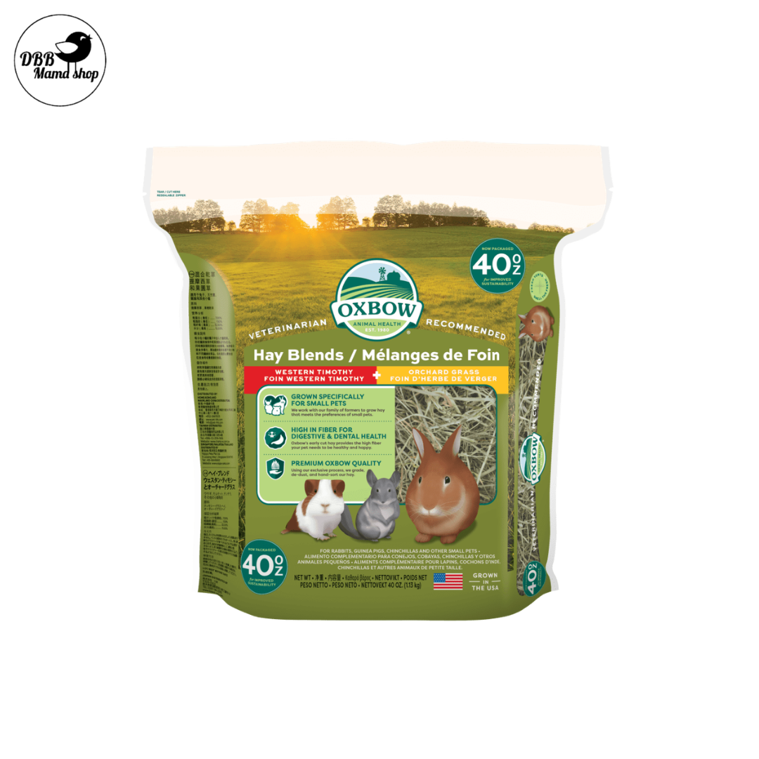 [40oz] Oxbow Hay | Timothy / Orchard / Alfalfa | High Fiber Daily Hay for Rabbits, Guinea Pigs & Chinchillas