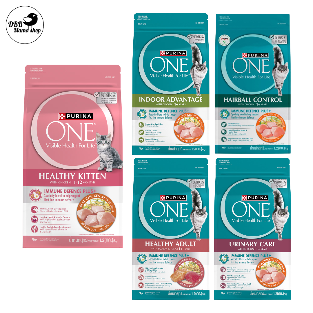 Purina ONE Cat Dry Food 1.2kg — Complete Nutrition for Healthy Cats