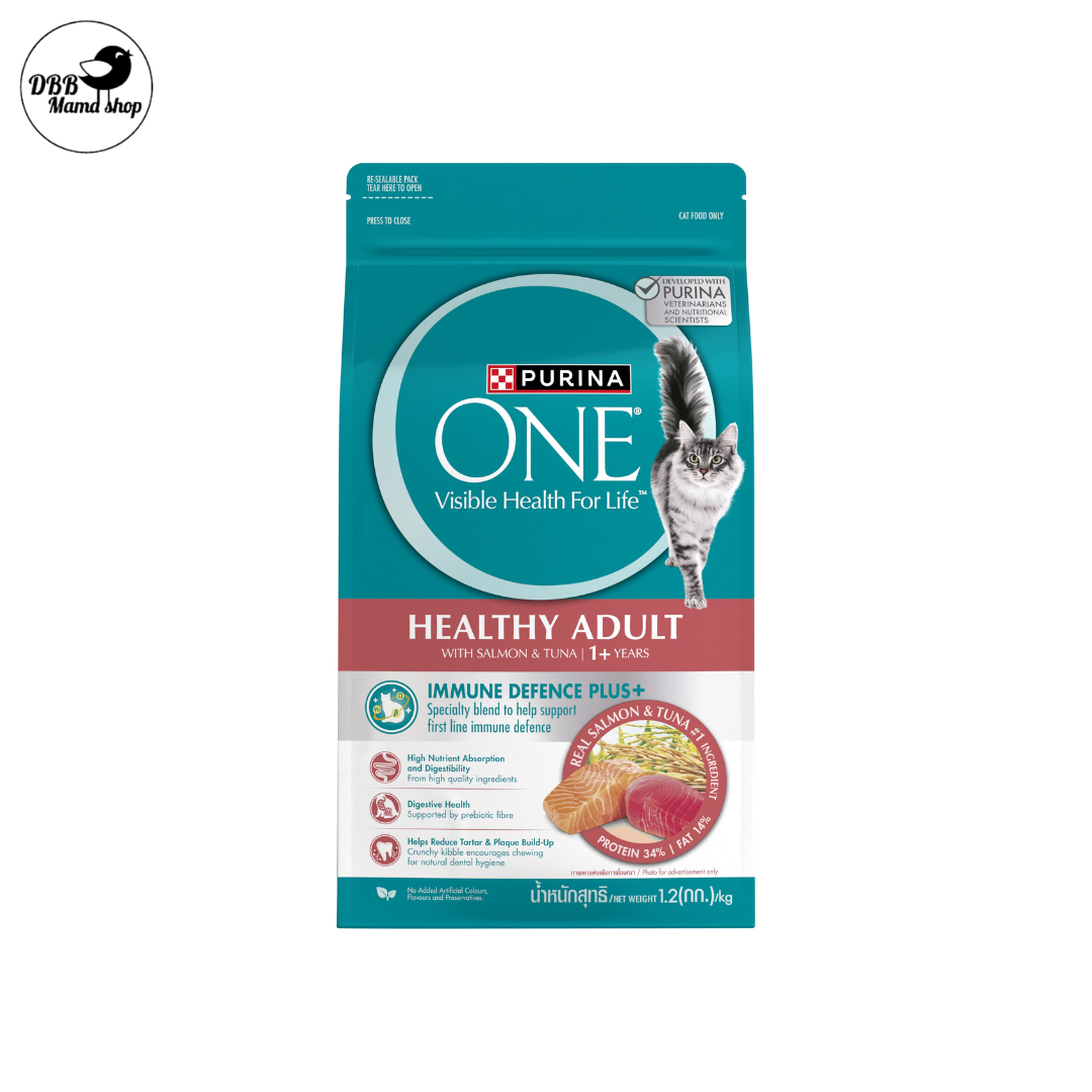 Purina ONE Cat Dry Food 1.2kg — Complete Nutrition for Healthy Cats