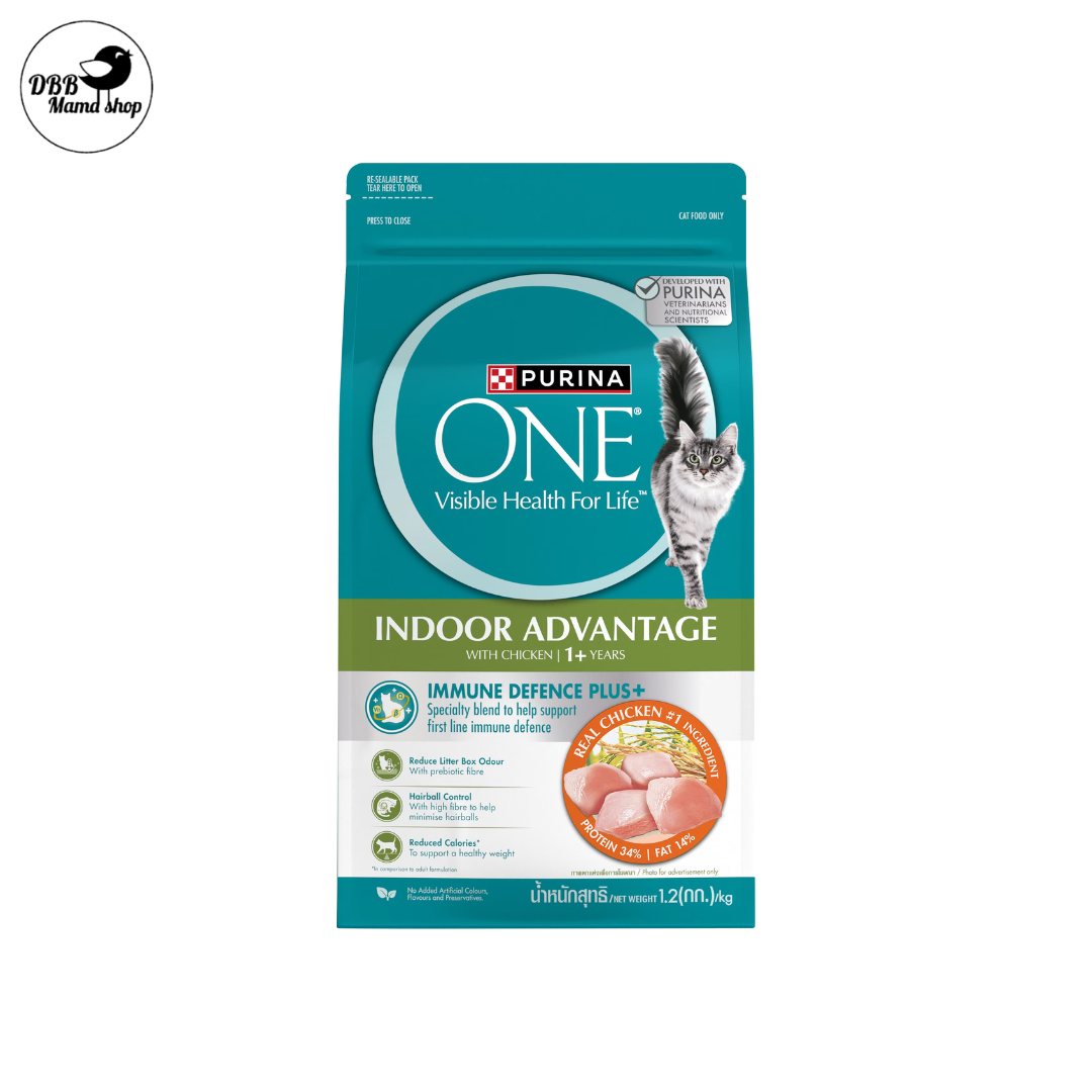 Purina ONE Cat Dry Food 1.2kg — Complete Nutrition for Healthy Cats