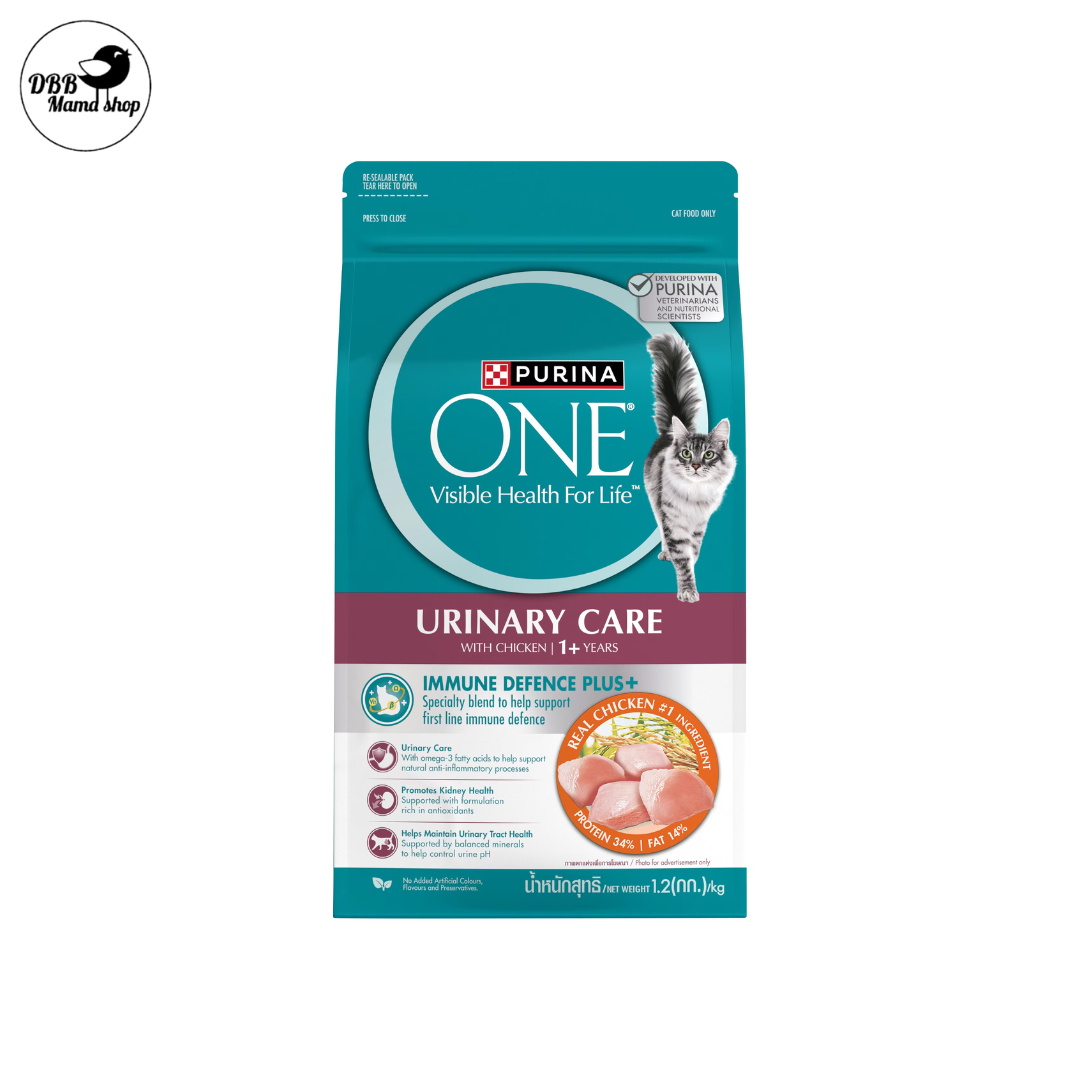 Purina ONE Cat Dry Food 1.2kg — Complete Nutrition for Healthy Cats