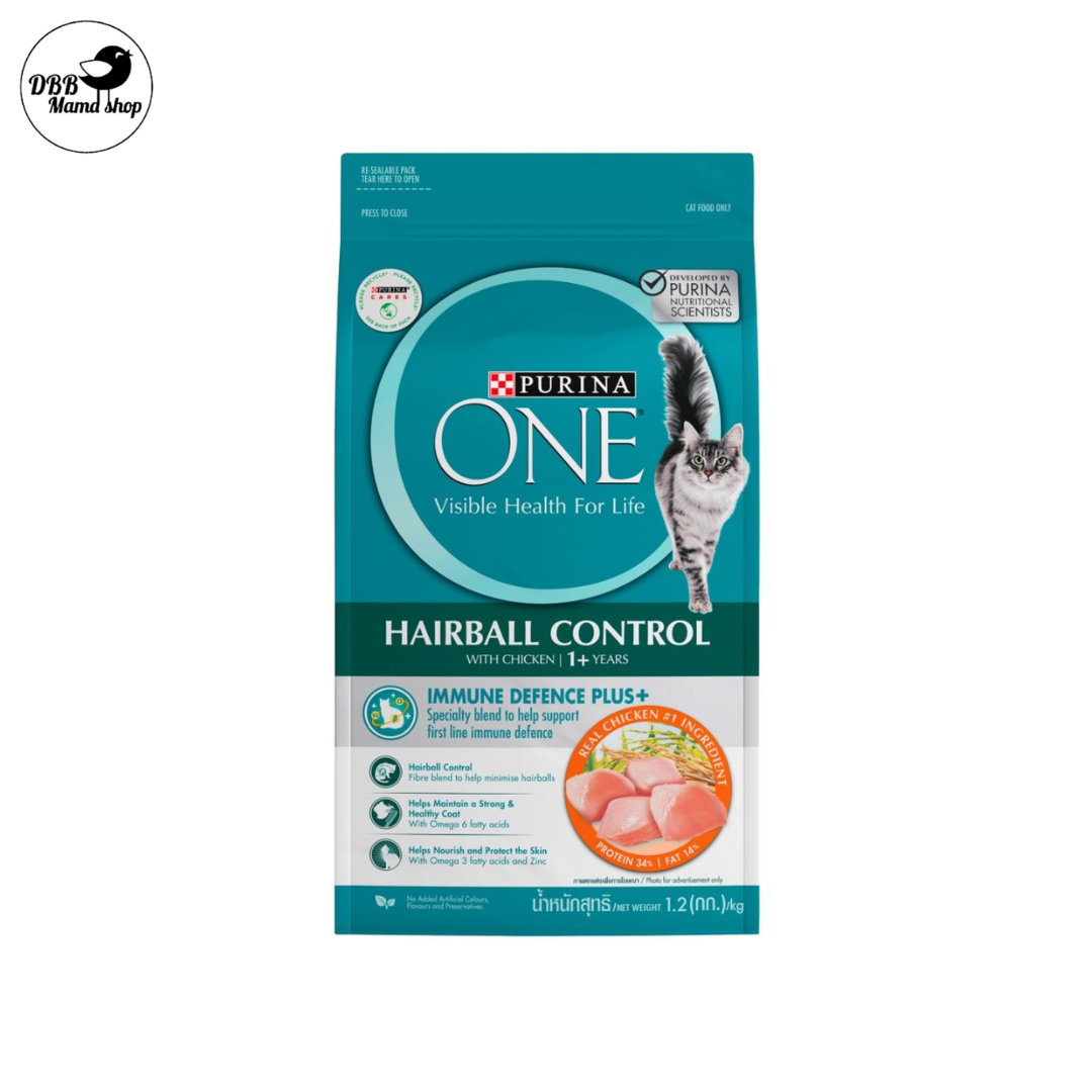 Purina ONE Cat Dry Food 1.2kg — Complete Nutrition for Healthy Cats