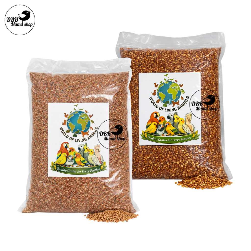 Buy 2 Free 1 [WOLA] World of Living Animals – Small & Big Red Millets Bird Seeds | Quality Grains for Every Feather | 1kg