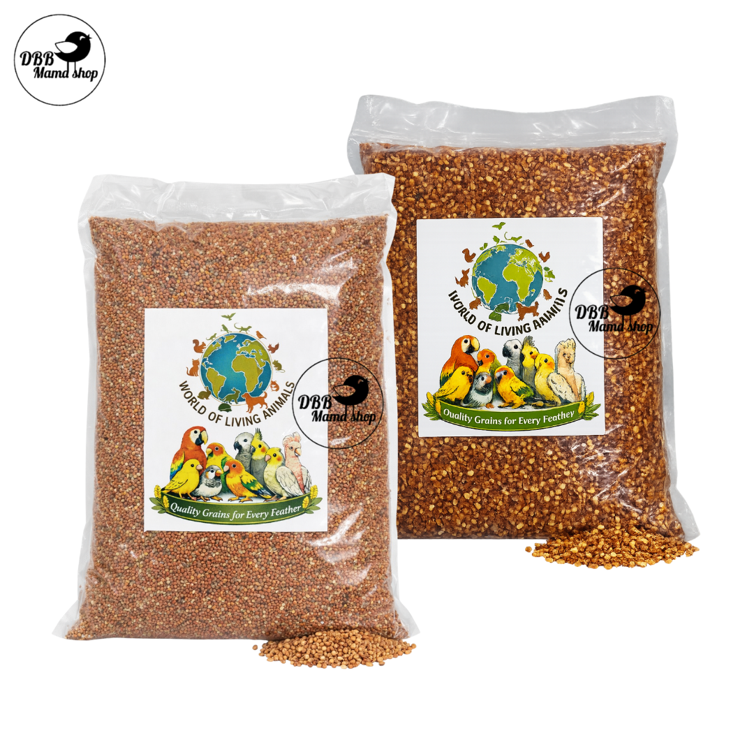 Buy 2 Free 1 [WOLA] World of Living Animals – Small & Big Red Millets Bird Seeds | Quality Grains for Every Feather | 1kg