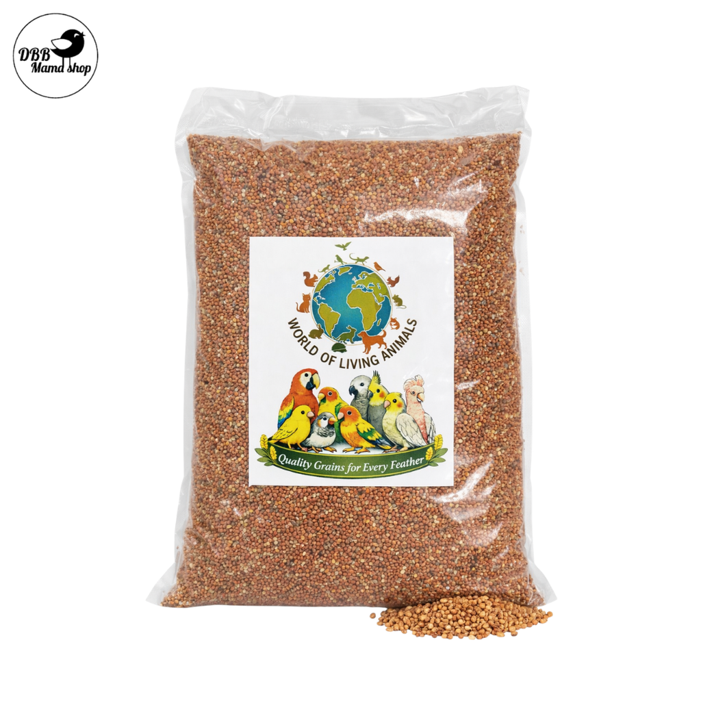 Buy 2 Free 1 [WOLA] World of Living Animals – Small & Big Red Millets Bird Seeds | Quality Grains for Every Feather | 1kg