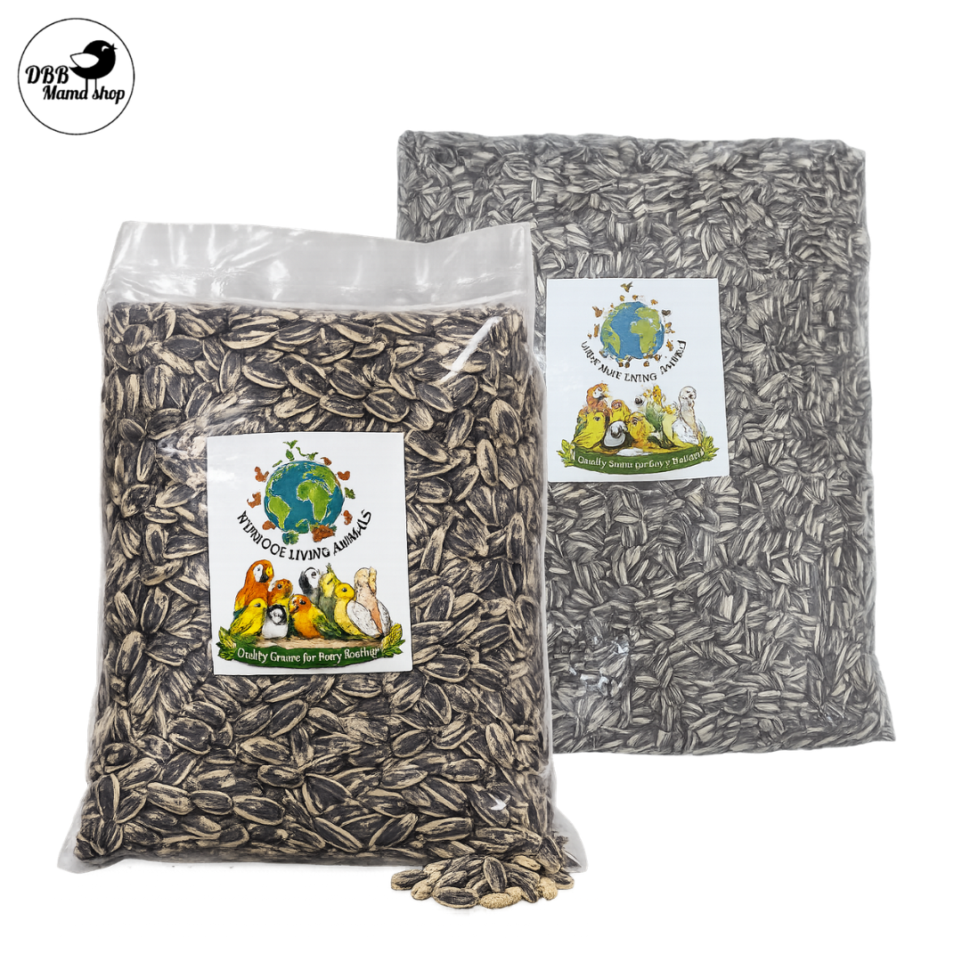 Buy 2 Free 1 [WOLA] World of Living Animals – Small & Big Sunflower Seeds Bird Seeds | Quality Grains for Every Feather | 1kg