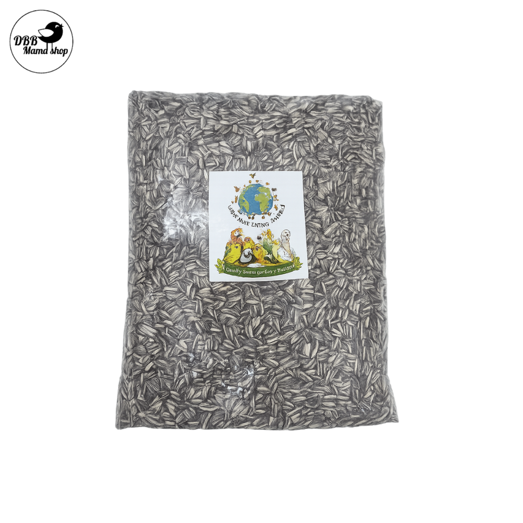 Buy 2 Free 1 [WOLA] World of Living Animals – Small & Big Sunflower Seeds Bird Seeds | Quality Grains for Every Feather | 1kg