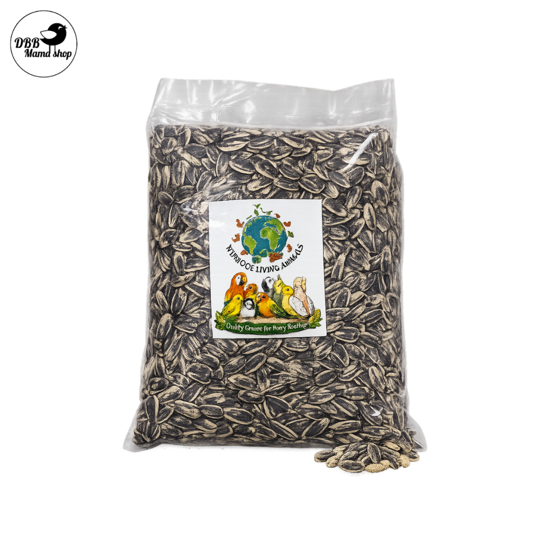 [WOLA] World of Living Animals – Small & Big Sunflower Seeds Bird Seeds | Quality Grains for Every Feather | 1kg