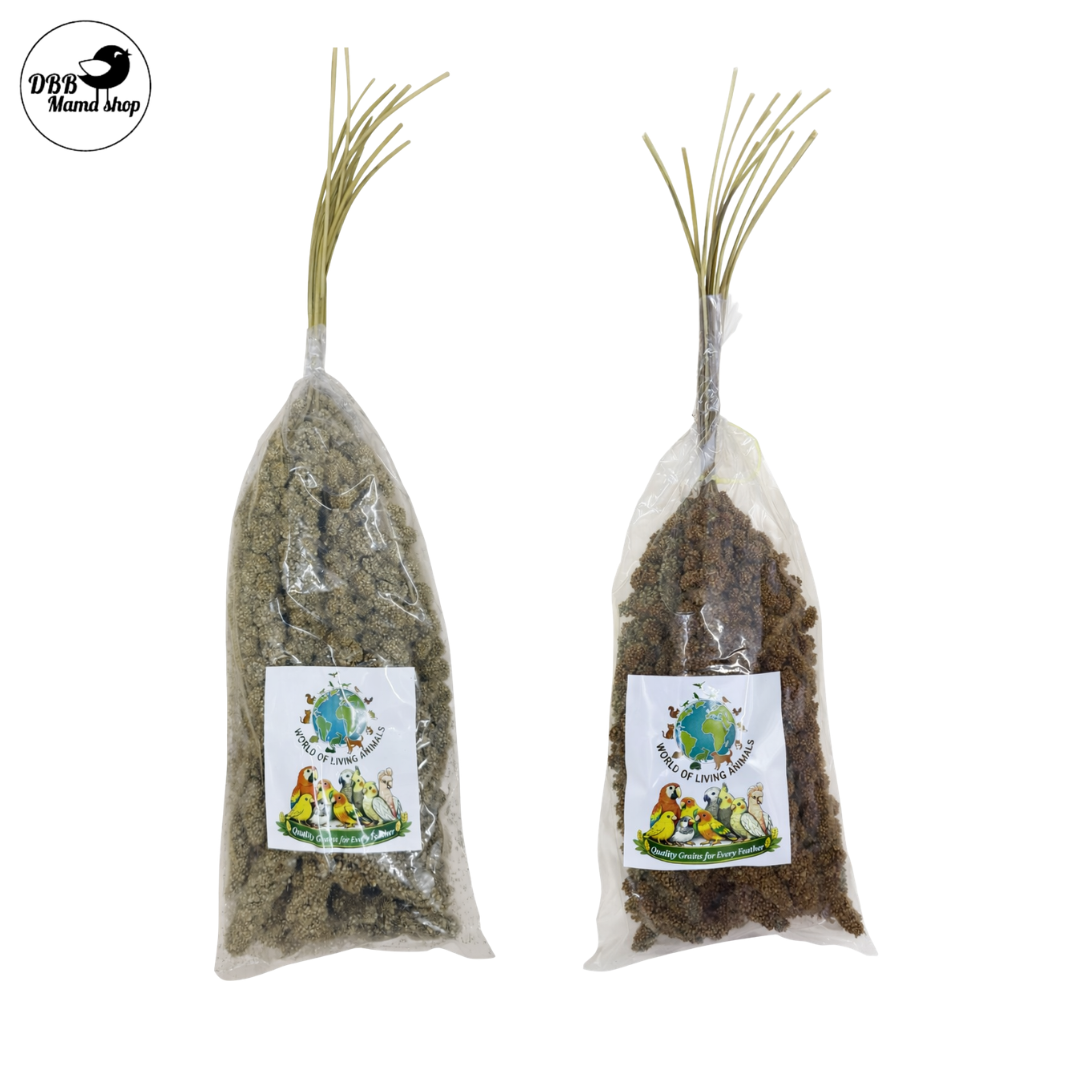 [WOLA] World Of Living Animals Spray Millets Red / Yellow 200g For Parrot Bird Food Treats