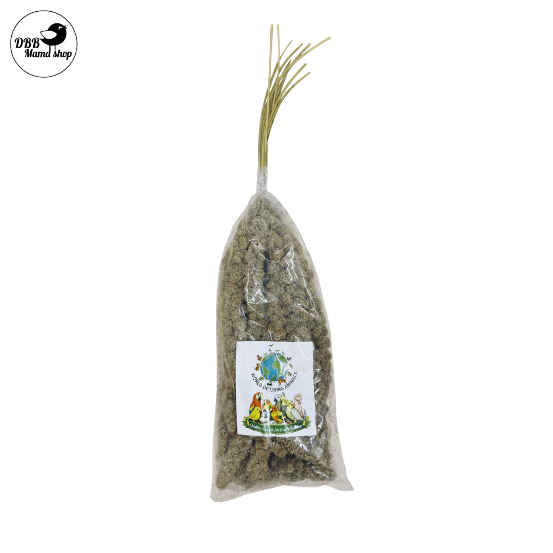 [WOLA] World Of Living Animals Spray Millets Red / Yellow 200g For Parrot Bird Food Treats