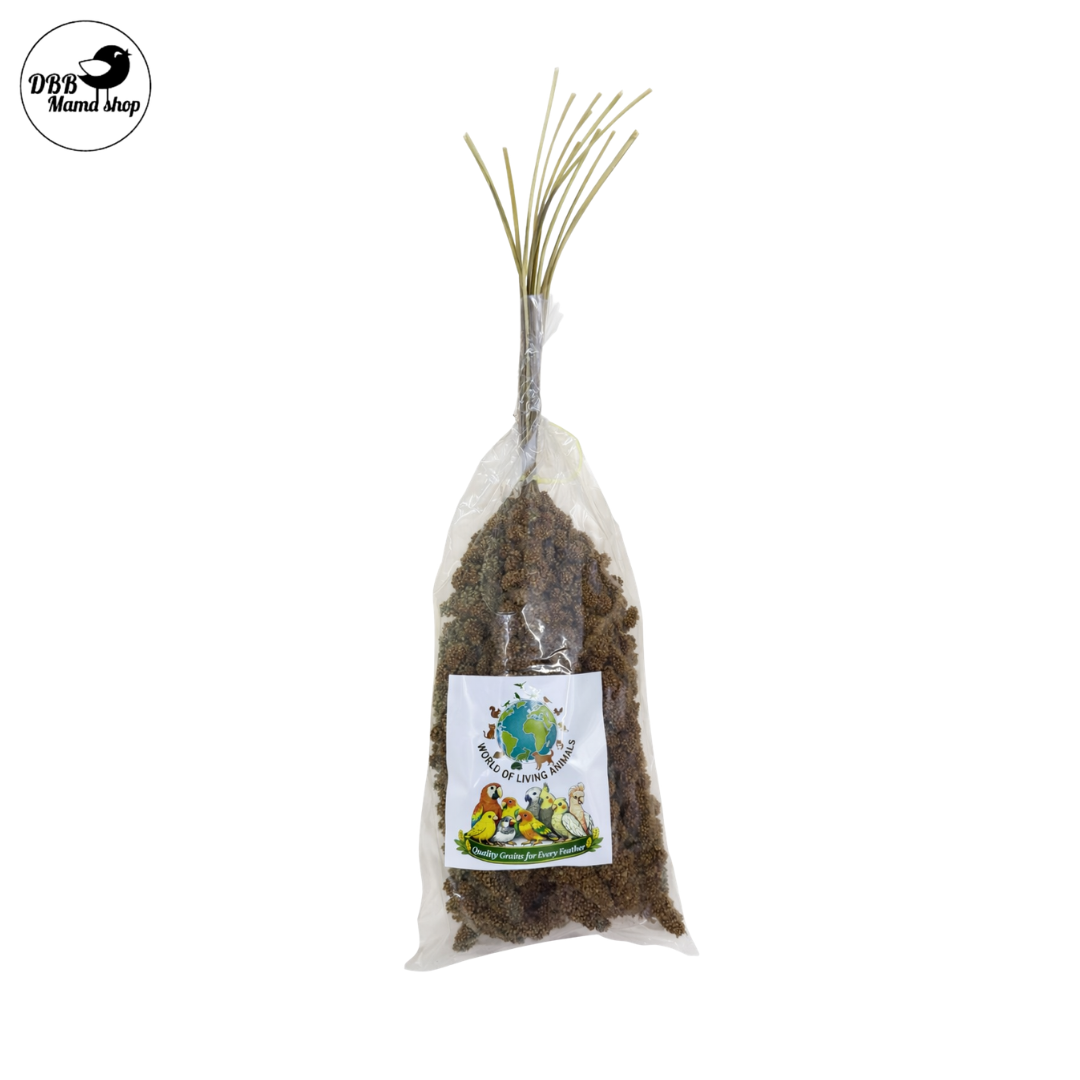 [WOLA] World Of Living Animals Spray Millets Red / Yellow 200g For Parrot Bird Food Treats