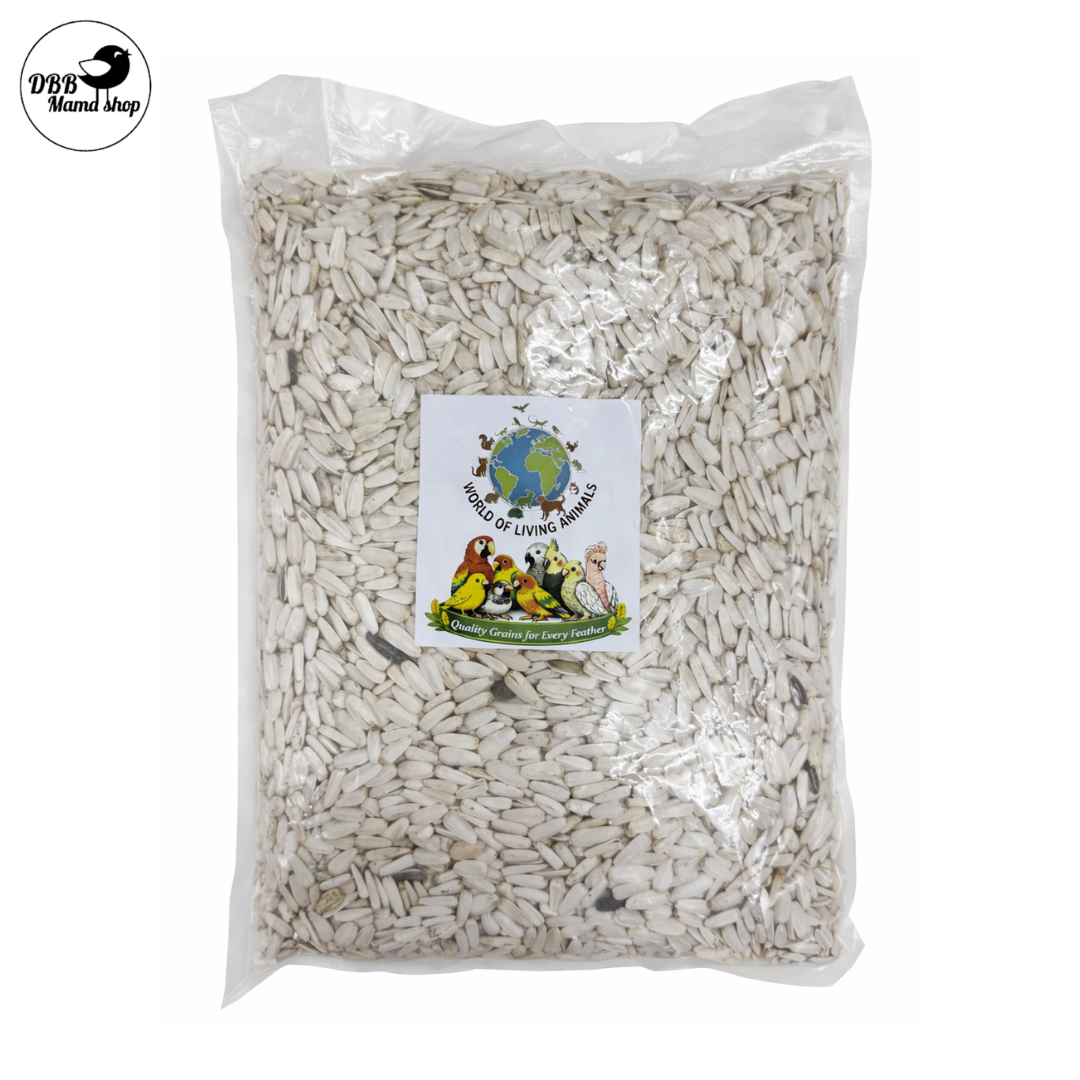 [WOLA] World Of Living Animals - White Sunflower Seeds 1kg Parrot Bird Food Treats