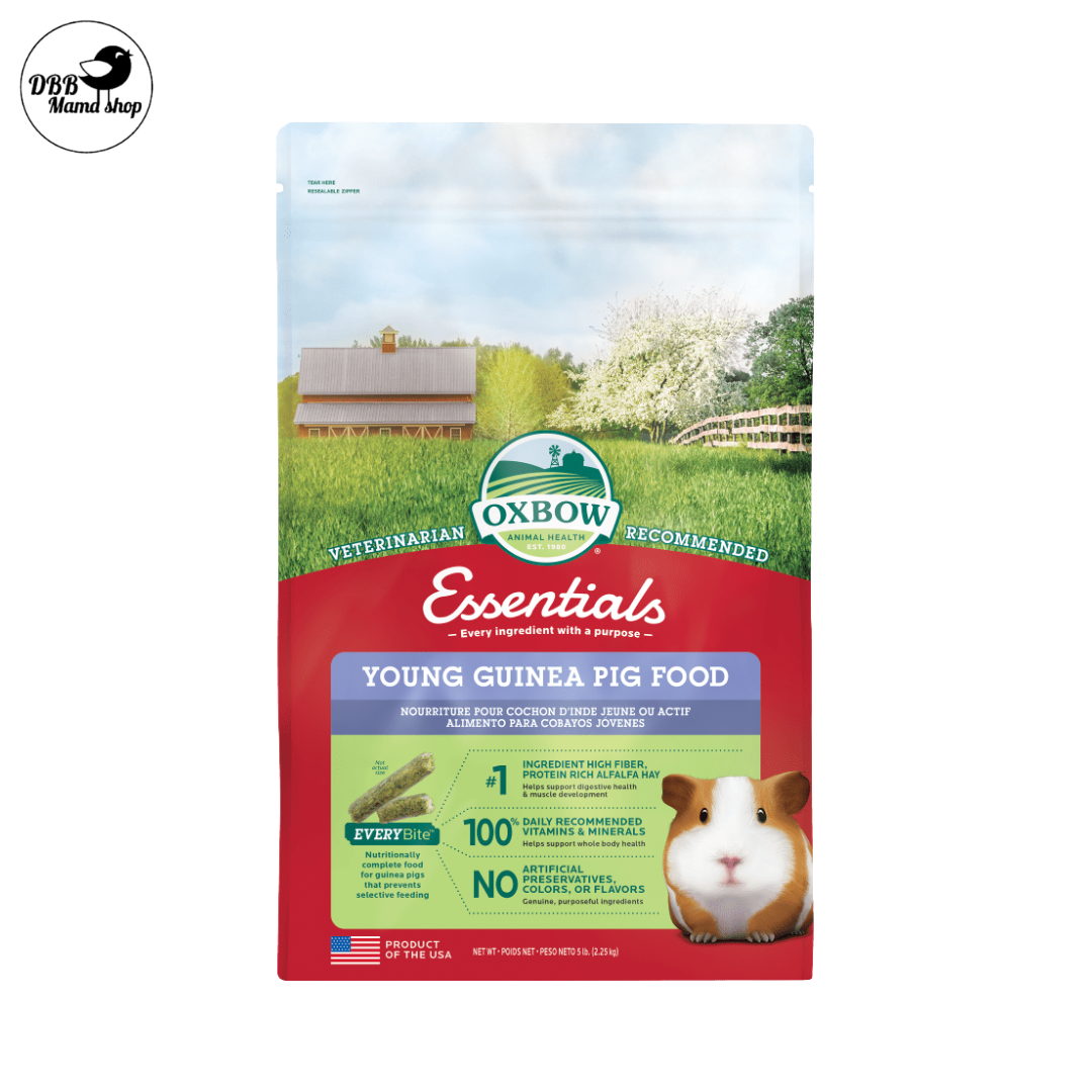 [Young Guinea Pig Food] Oxbow Essentials | Alfalfa‑Based Growth Diet • High Fiber • Vitamin C