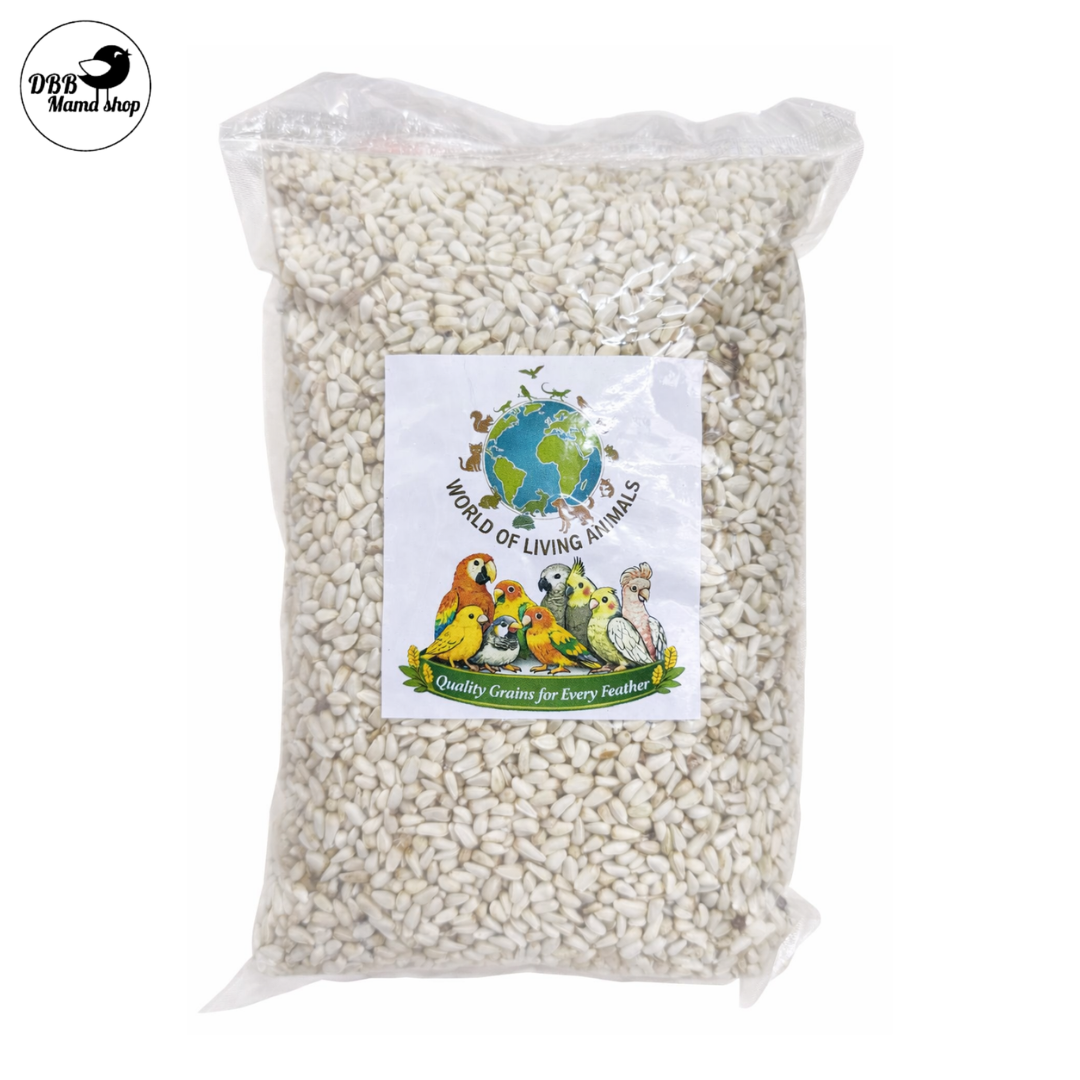[WOLA] World Of Living Animals - Safflower Seeds 1kg Parrot Bird Food Treats