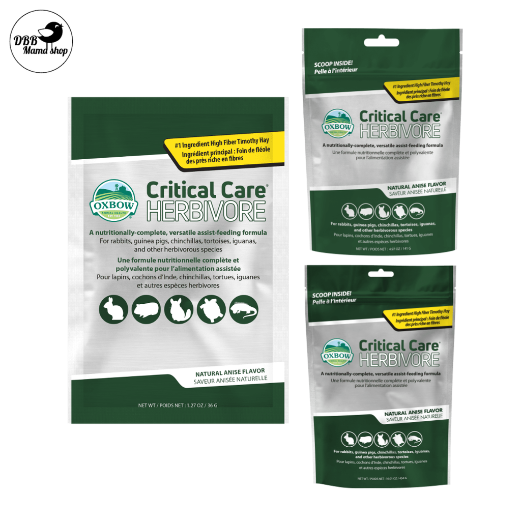 Oxbow Critical Care Herbivore – Anise | Recovery Formula for Rabbits, Guinea Pigs, Chinchillas