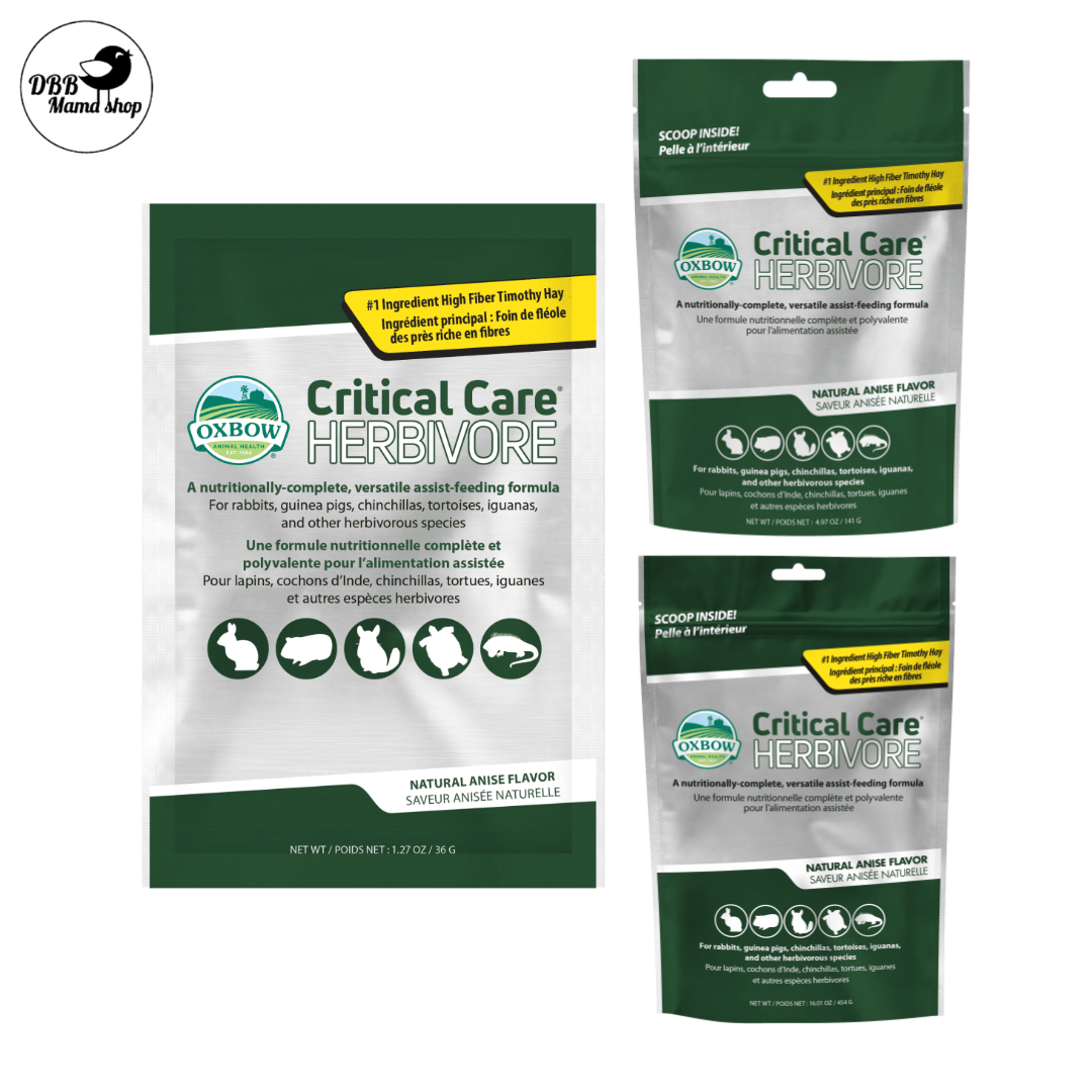 Oxbow Critical Care Herbivore – Anise | Recovery Formula for Rabbits, Guinea Pigs, Chinchillas