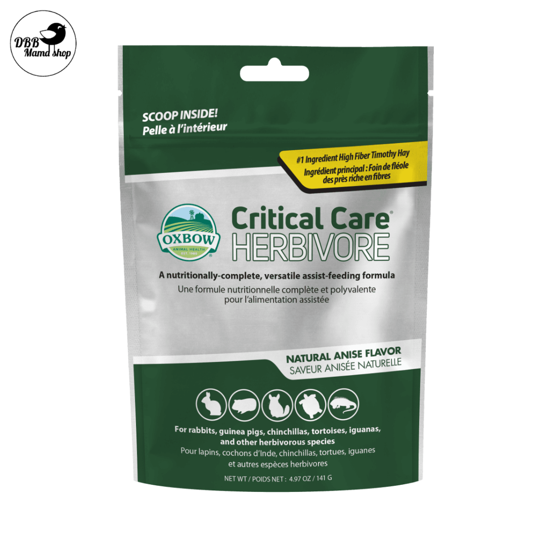 Oxbow Critical Care Herbivore – Anise | Recovery Formula for Rabbits, Guinea Pigs, Chinchillas
