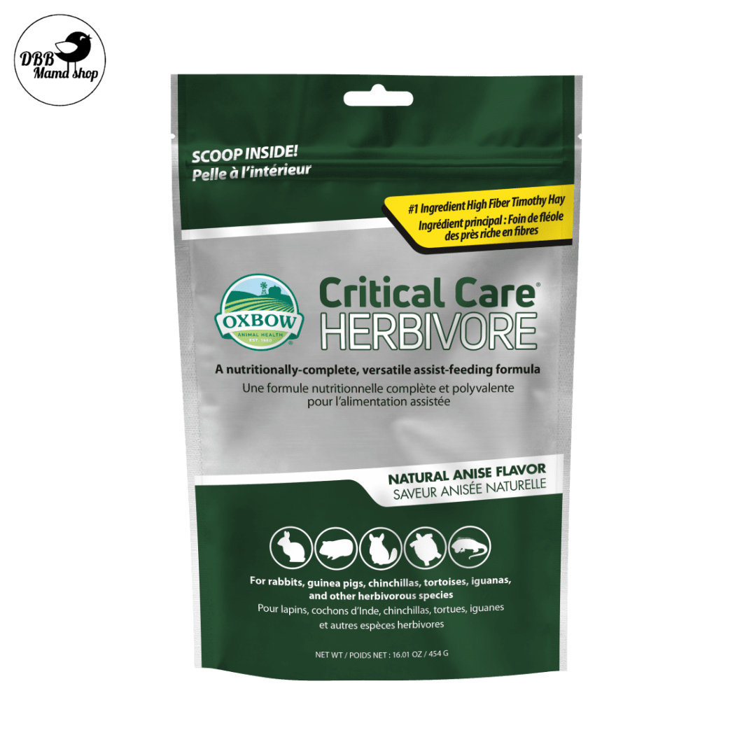 Oxbow Critical Care Herbivore – Anise | Recovery Formula for Rabbits, Guinea Pigs, Chinchillas
