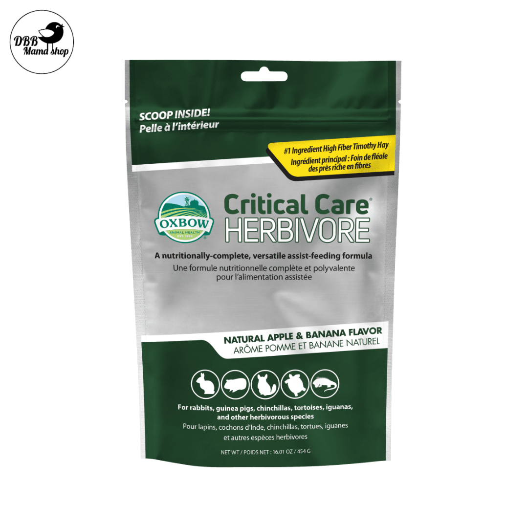 Critical Care Herbivore Apple Banana | High Fiber Recovery Food for Rabbits, Guinea Pigs & Small Pets