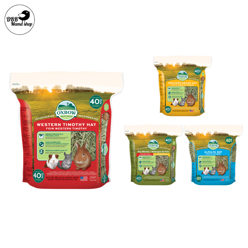 [40oz] Oxbow Hay | Timothy / Orchard / Alfalfa | High Fiber Daily Hay for Rabbits, Guinea Pigs & Chinchillas