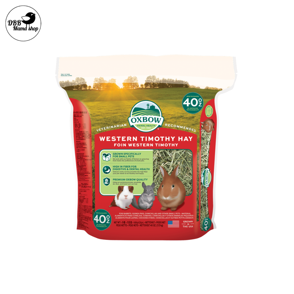 [40oz] Oxbow Hay | Timothy / Orchard / Alfalfa | High Fiber Daily Hay for Rabbits, Guinea Pigs & Chinchillas